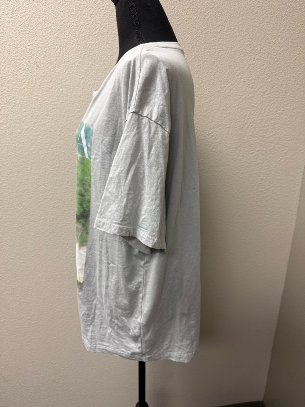 Shania Twain Graphic Tee Light Gray Country Music Shirt Large Casual Top - Picture 4 of 9